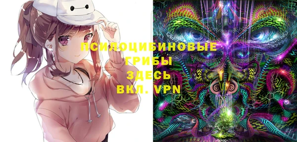 амф Снежногорск