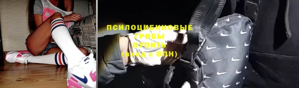 гидра Алексеевка