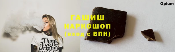 гидра Алексеевка
