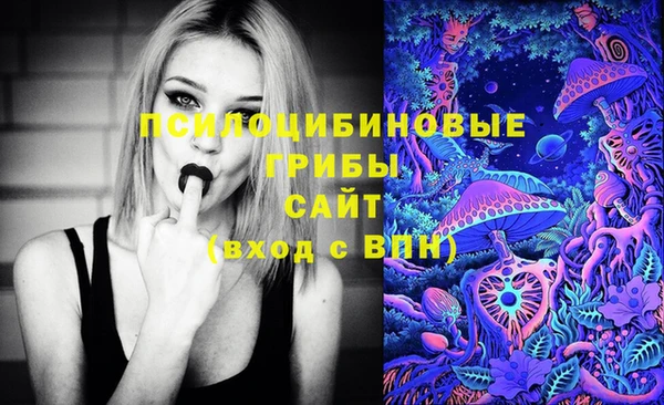 ешки Алзамай