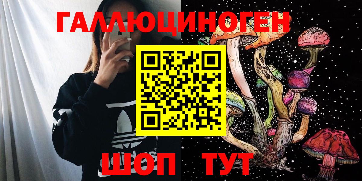 Псилоцибиновые грибы Psilocybe  Вход с VPN  Ипатово 